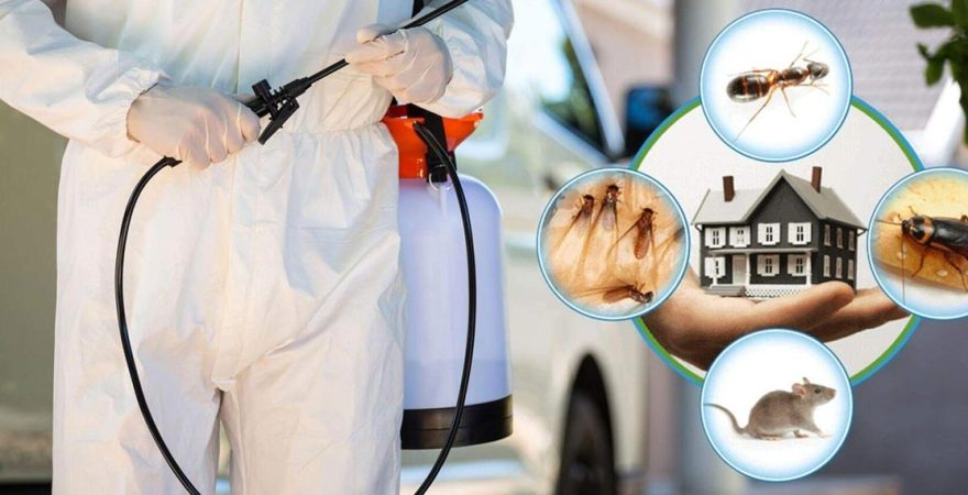 Sultangazi Böcek İlaçlama