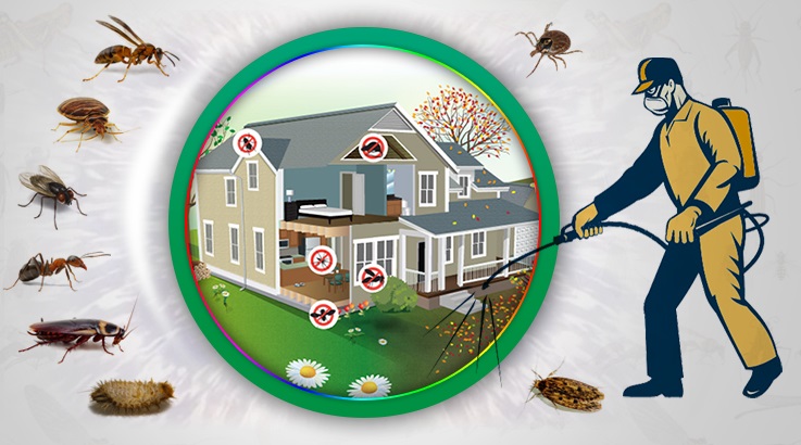 Sultangazi Böcek İlaçlama