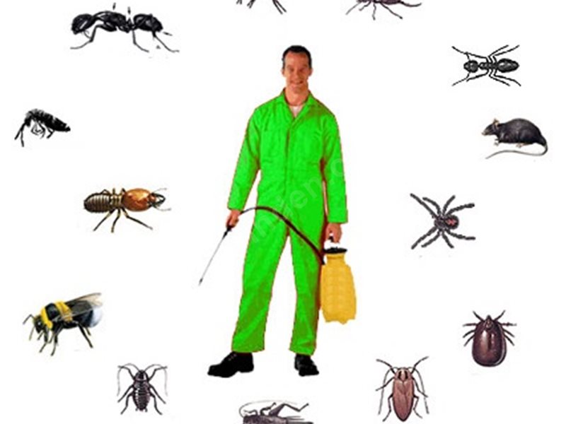 Sultangazi Böcek İlaçlama